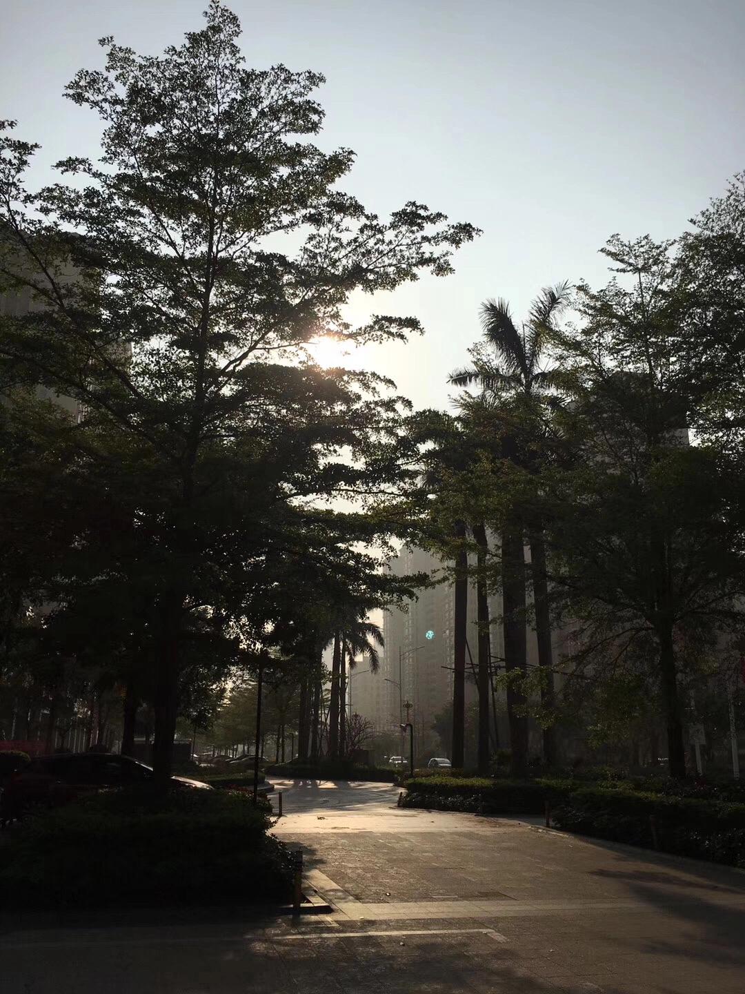 不失眠但多梦睡眠质量差怎么办,失眠多梦耳鸣睡眠浅怎么治疗