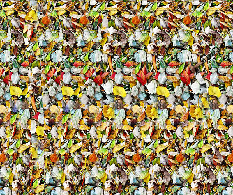 3d立体电影大全免费观看,看3d立体地图用什么软件