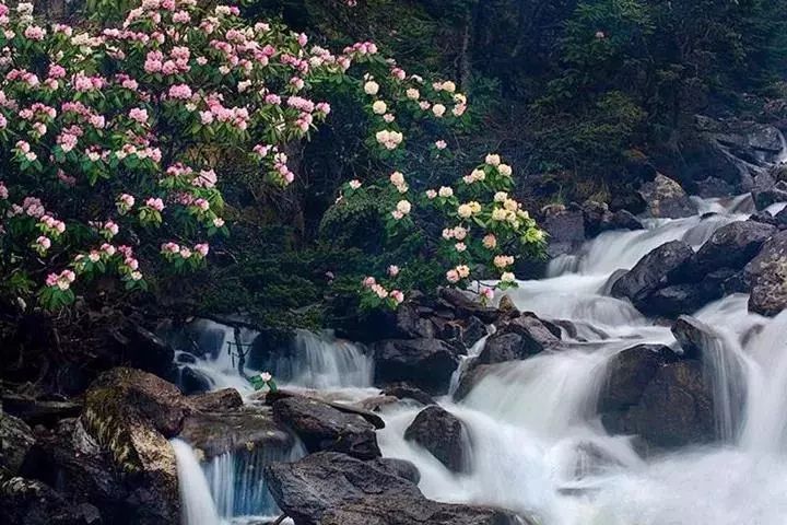 稻城亚丁白云,稻城亚丁风景没有想象中的那么美