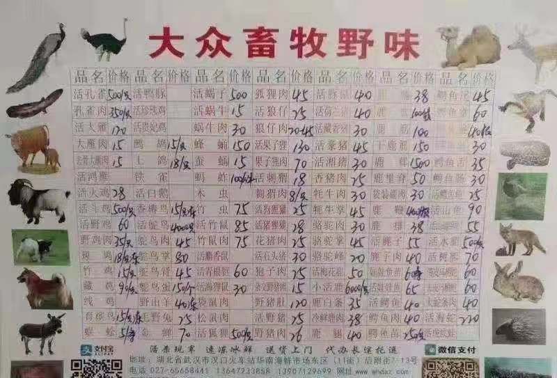 武汉肺炎，本可以不发生的。