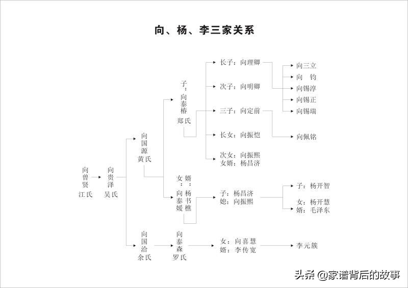 杨开慧外祖家的传奇——平江第一科举世家向曾贤家族