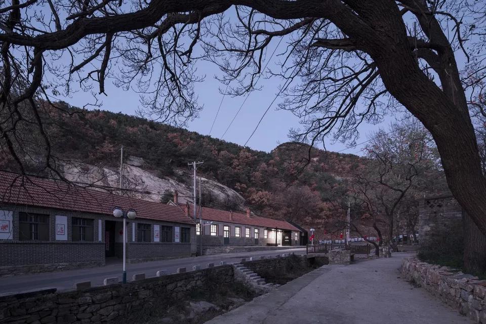 乡村振兴特色文化案例分享,关于乡村振兴比较有创意的点子