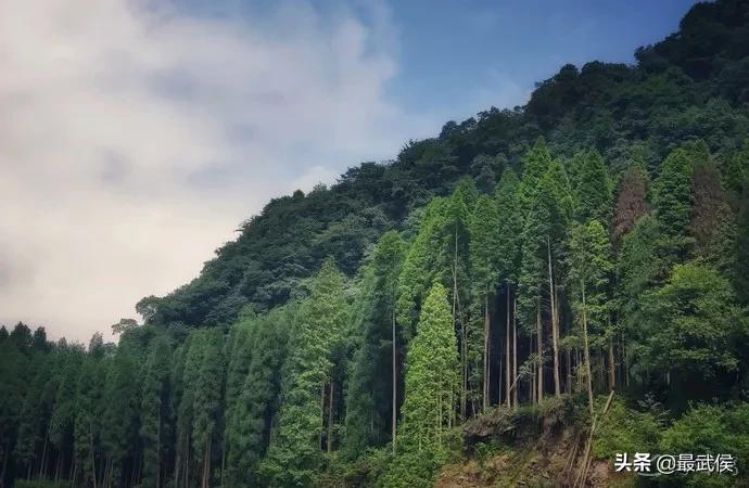 温度升高之前采摘樱桃,成都周边可摘樱桃的古镇