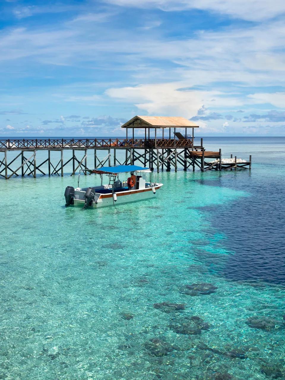 中国至今没被认全的20个邻居，个个身怀宝藏，你知道几个？