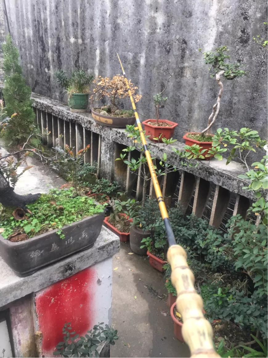 手竿换把怎么换,罗汉竹手竿