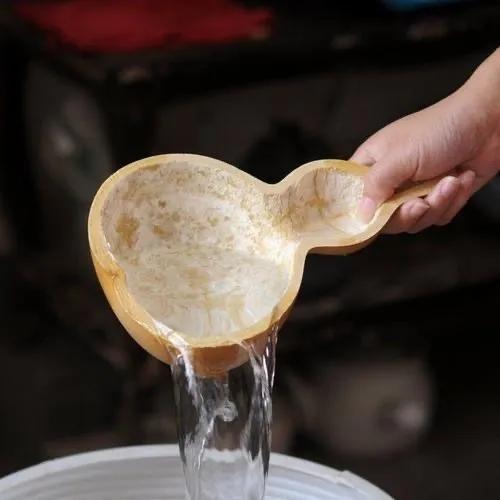 生活能手小葫芦，是*疆新**艺术的“灵感缪斯”