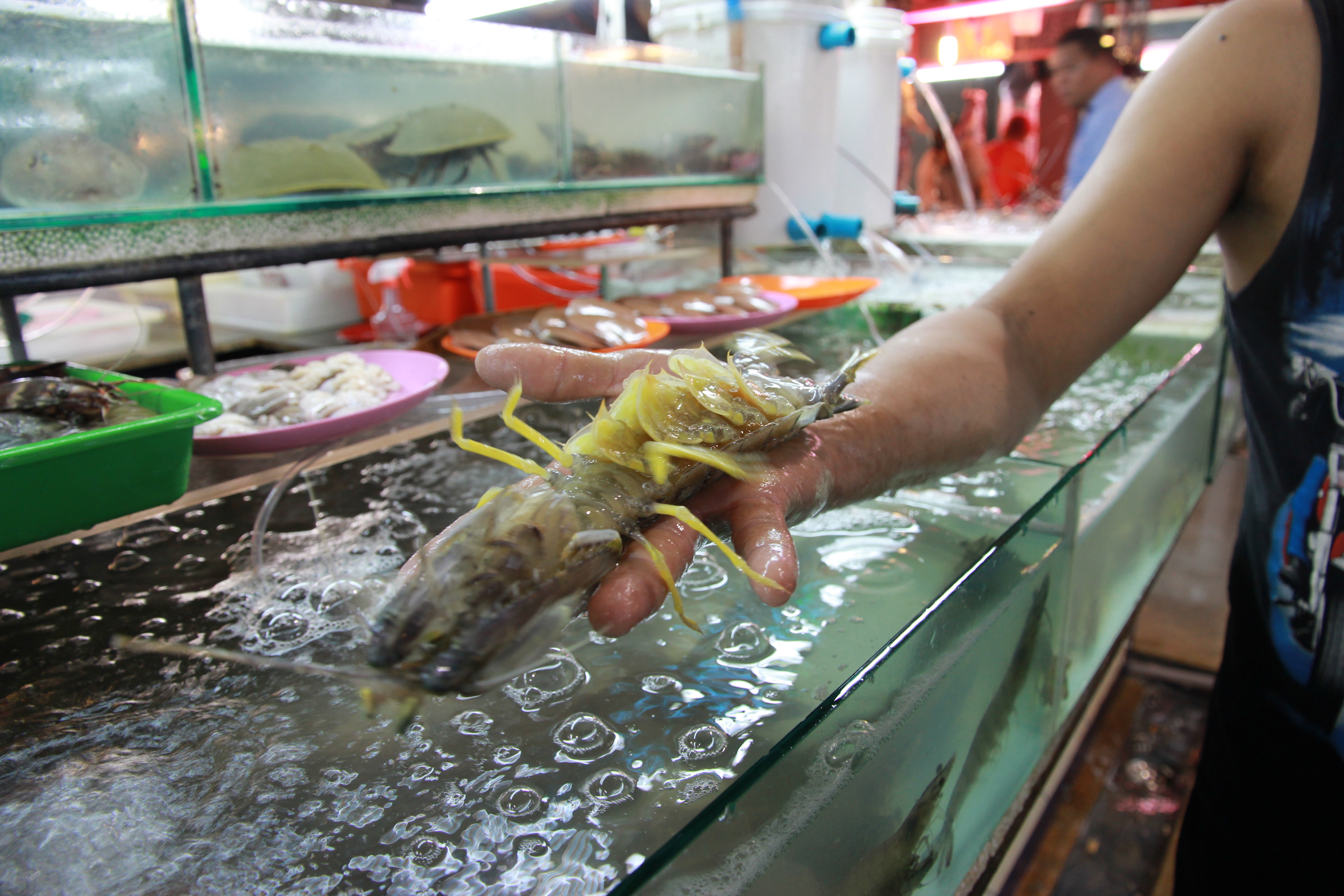 泰国普吉岛旅游攻略小视频,泰国普吉岛自由行旅游最新攻略