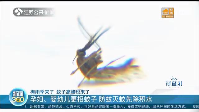 家里有宝宝夏天卧室有蚊子怎么办,这个季节蚊子多孕妇怎么办