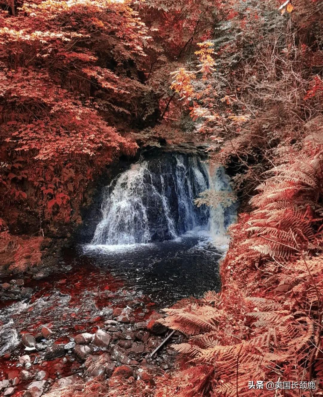 英国秋天好去处,英国秋天旅游必去的地方