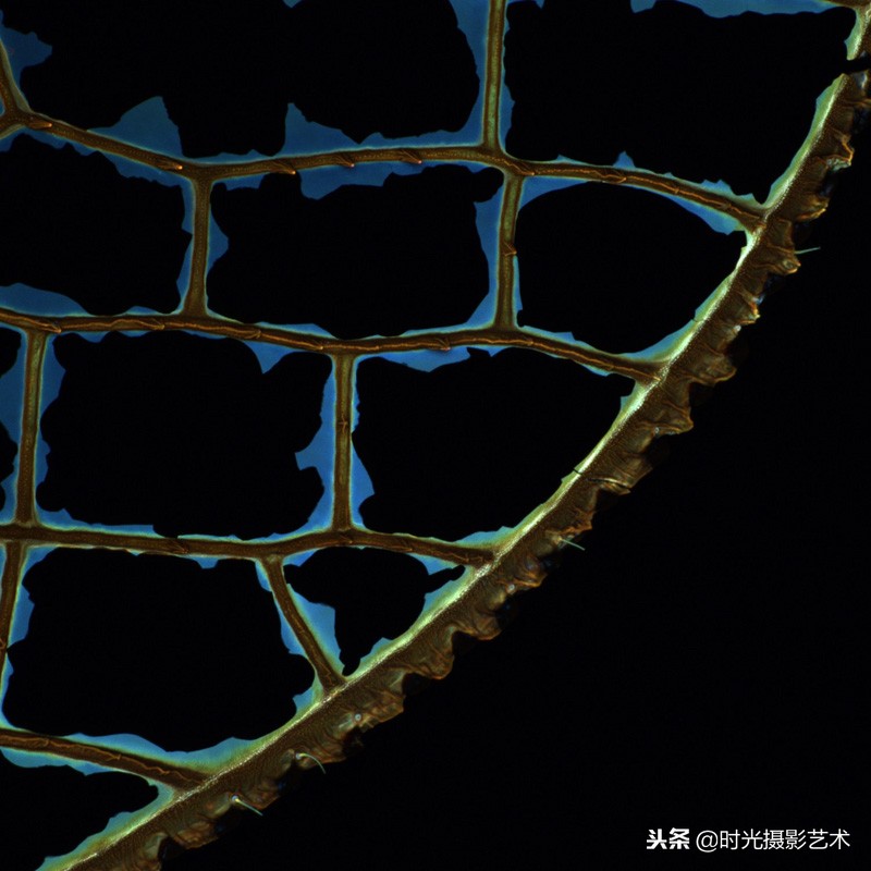 欣赏国际摄影大师作品,英国皇家天文摄影大赛