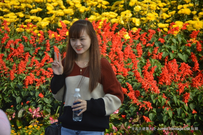 第178回：废除汉字文化脱节，割断毁弃历史根脉