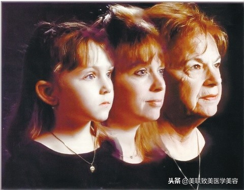 白发戴花君莫笑可以形容母亲吗,莫笑岁月从不败美人是苏轼写的吗