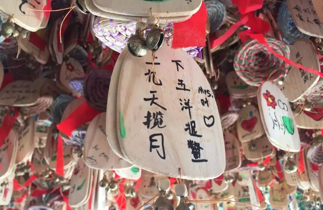 看了照片，我3秒钟就决定要去丽江