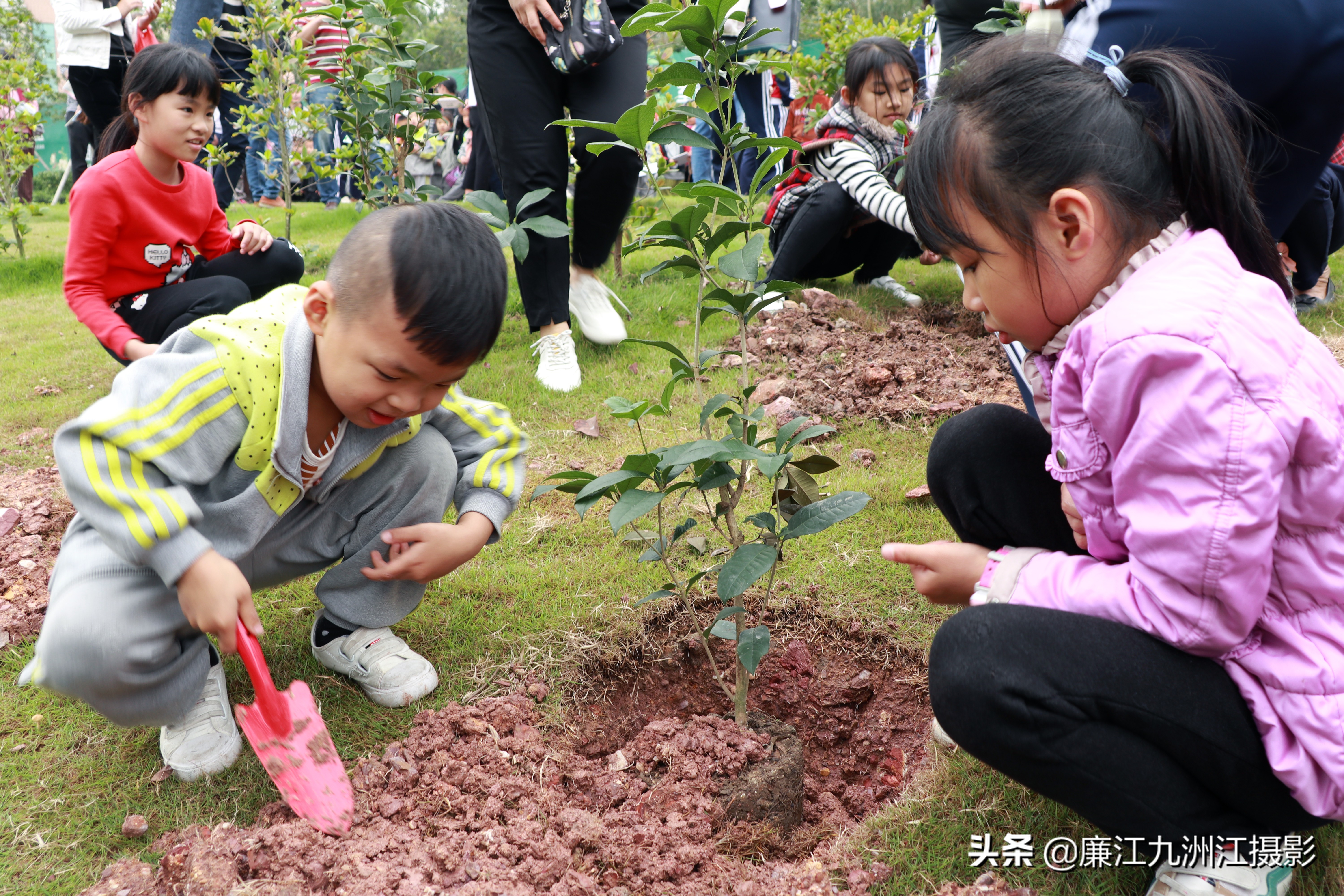 种下希望让梦想发芽舞蹈,种下希望让梦想发芽