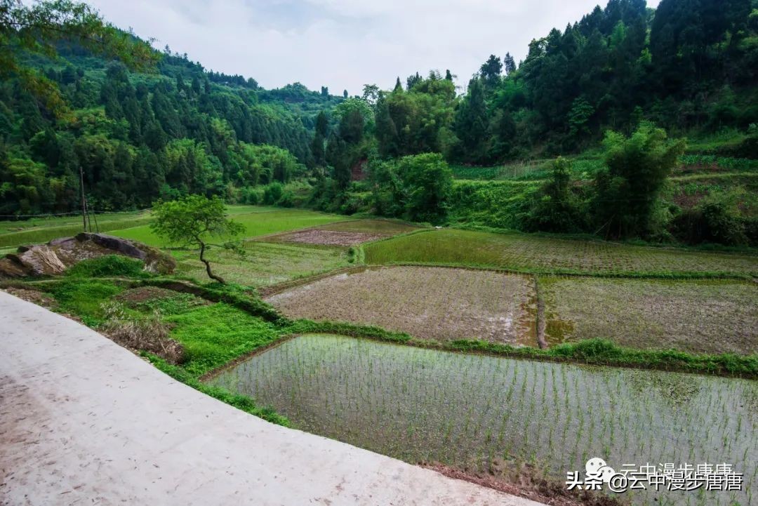 四川岳池黄龙水库,岳池黄龙杨家沟水库