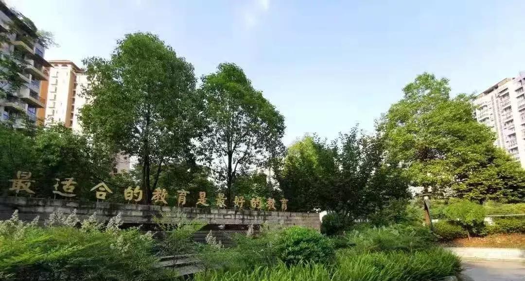 成都市中学排名情况最新查询,成都市中学排名情况最新公布表