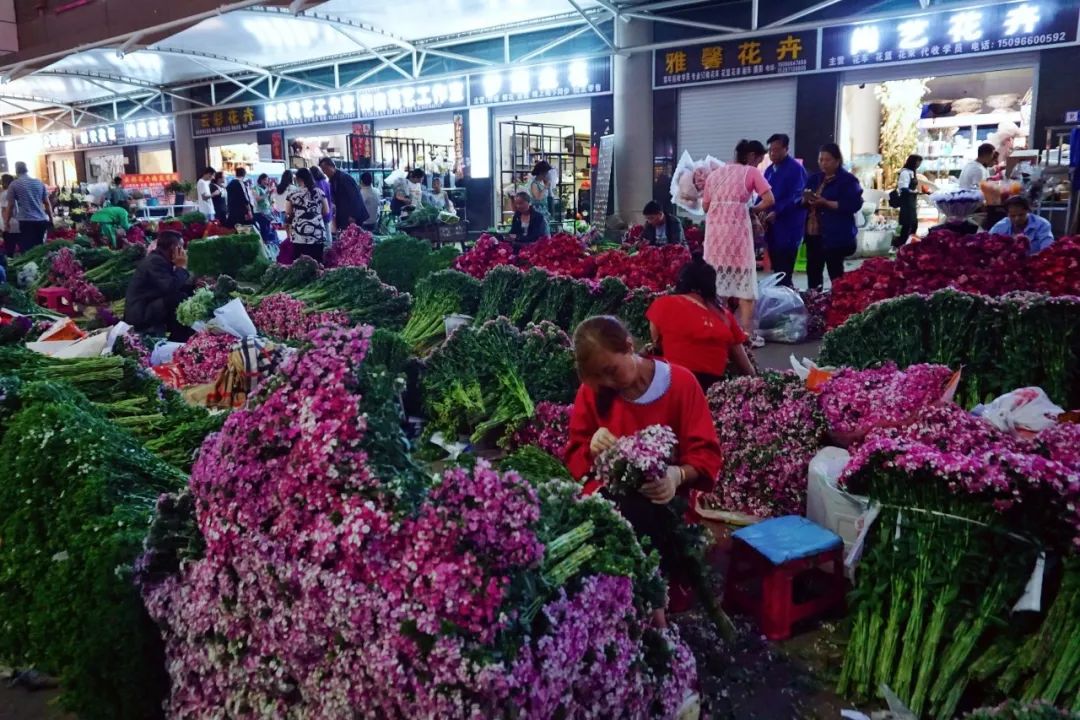 哪里鲜花最多最便宜,苏州市最大鲜花批发市场