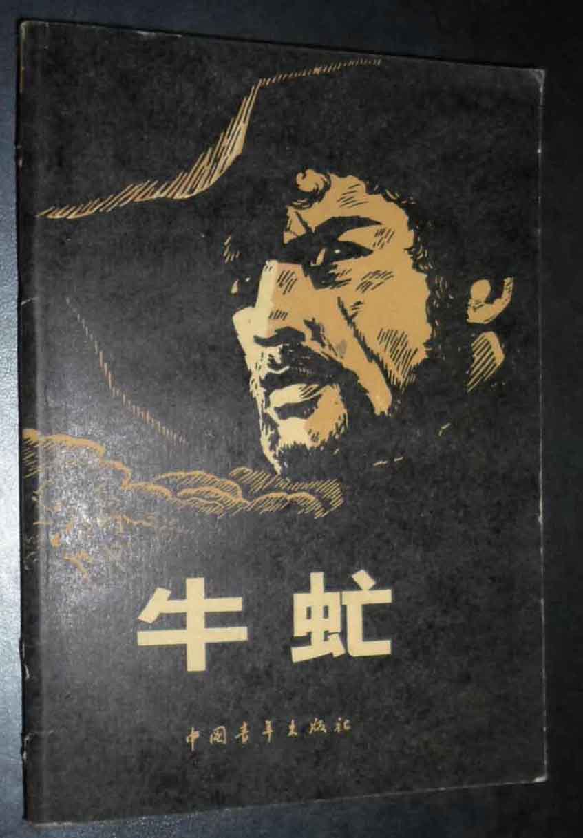 看着像个大苍蝇,叮马叮牛还叮人,晒干就是好药材,小记牛虻