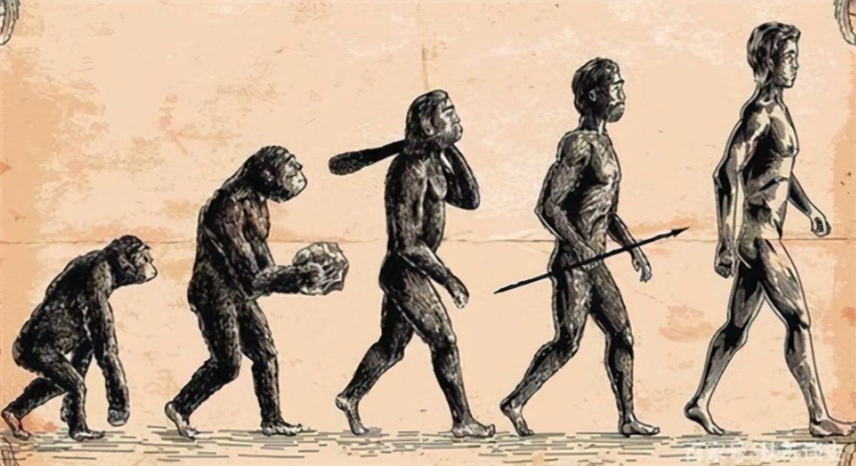 中国人为何是黄种人？一个隐私部位留下了秘密，性的选择与进化