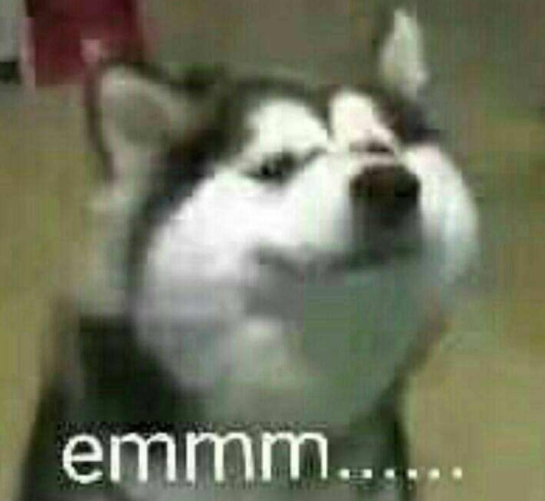 跟王一博一起采访,和王一博聊什么