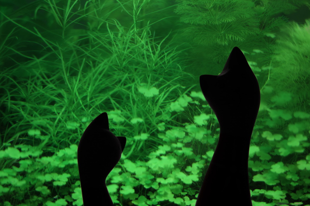 灏煎悍澶氶噸鏇濆厜鏁欑▼,浣宠兘澶氶噸鏇濆厜鏁欑▼