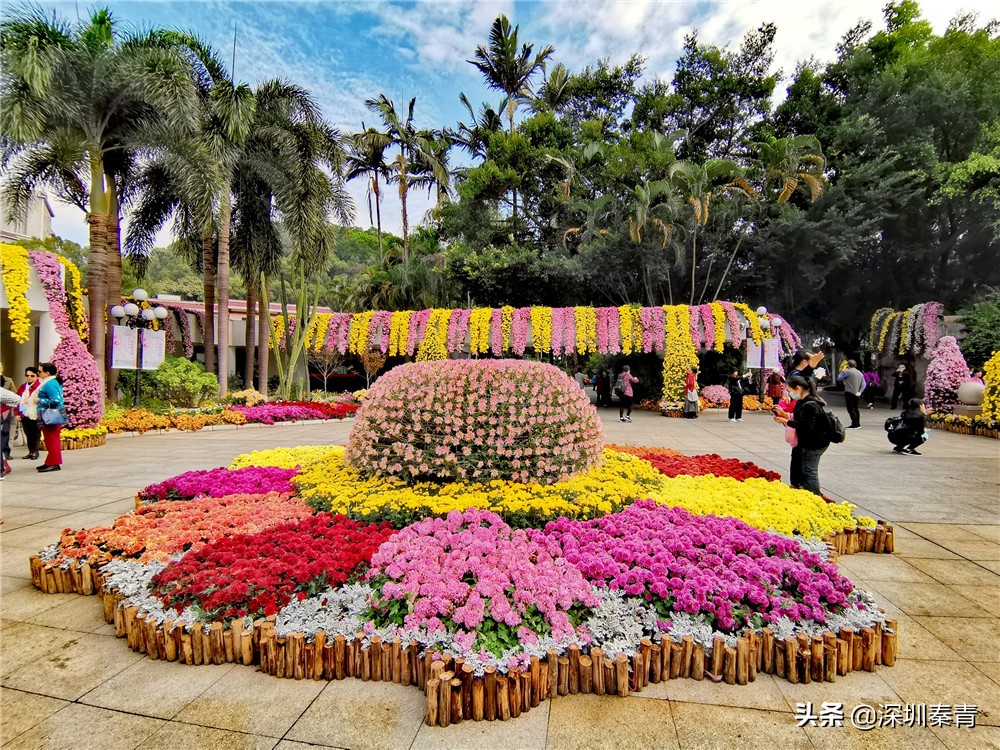 深圳老牌东湖公园,东湖公园的景区