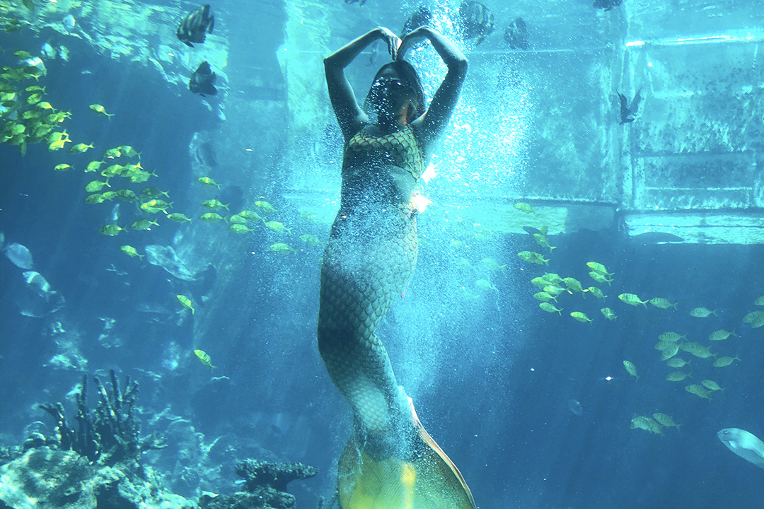 三亚海棠湾10家不错酒店,三亚独享一湾的超级棒的酒店推荐