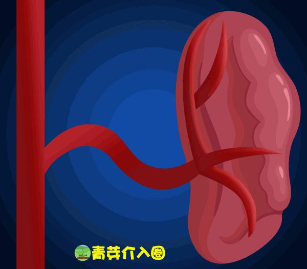 乙肝病人出现吐血便血大概活多久,乙肝吐血止血治疗方法