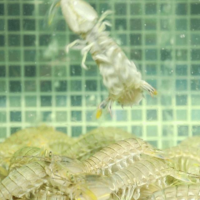 温州瓯菜十大系列菜,隐藏在南京巷子深处的美食