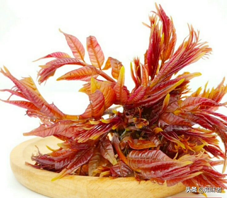 香椿炒鸡蛋正确做法先别着急下锅,香椿炒鸡蛋用不用先把香椿煮一下