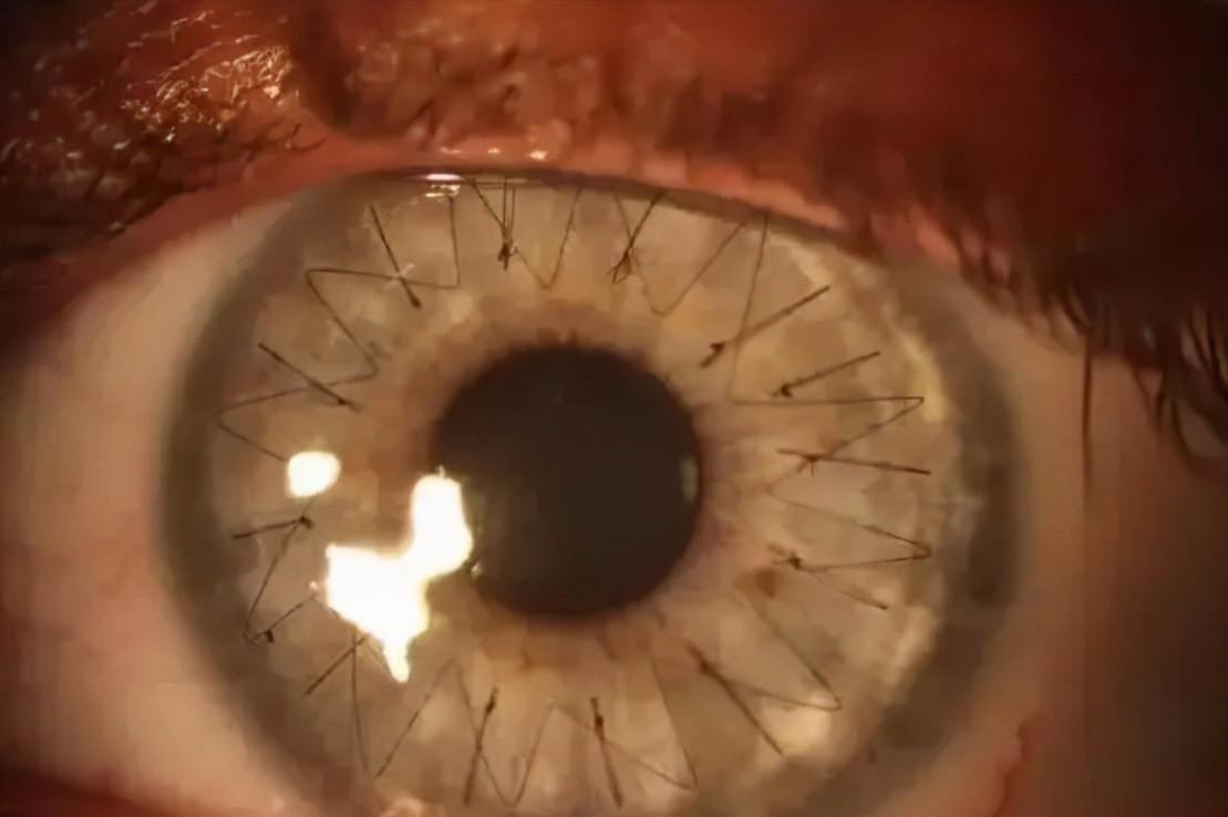 20张让人开怀大笑的猫咪照片,100张有趣猫咪照