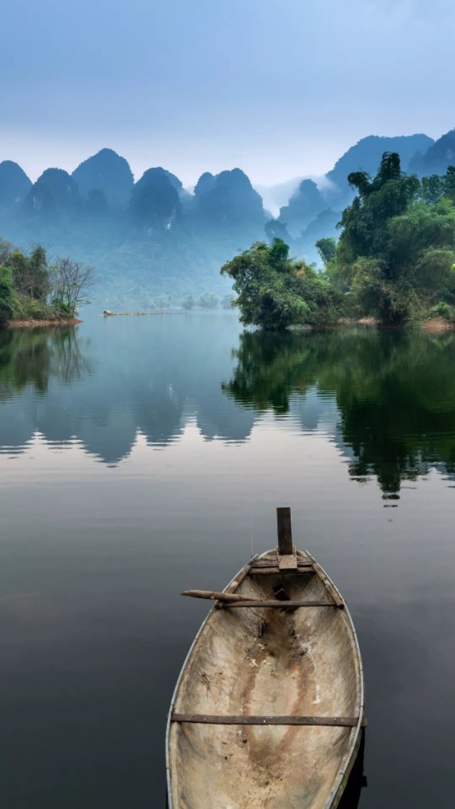 雪藻兰,雪藻兰独特作品