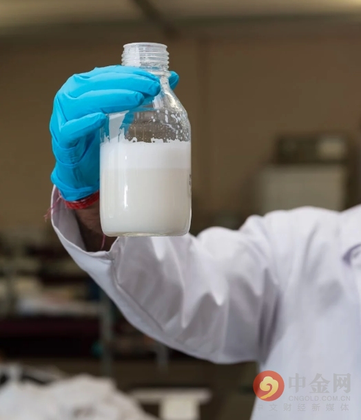 昆虫零食香辣,番茄薯片有哪些