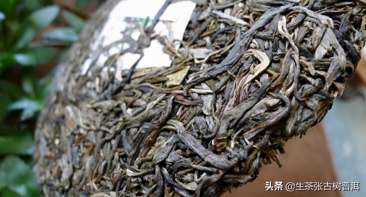 普洱茶知识科普从入门到高手,普洱茶入门知识这篇最全最靠谱