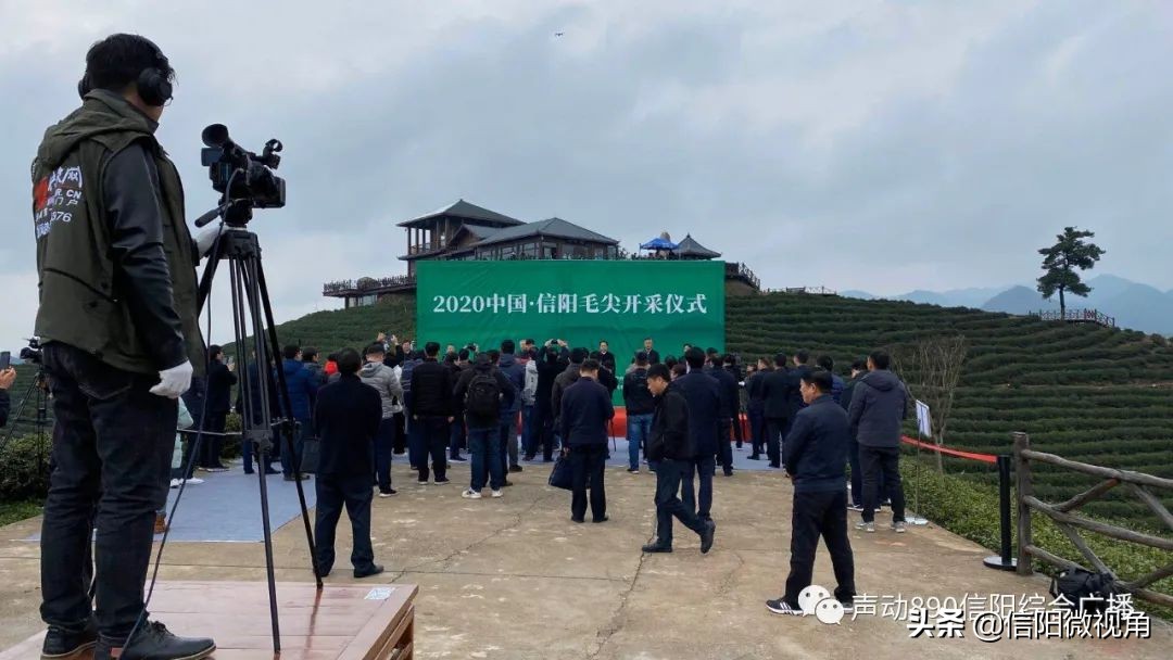 2024信阳茶叶开采节,2024年信阳毛尖开采仪式