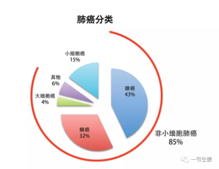肺癌患者五年生存率,肺癌患者的五年生存率