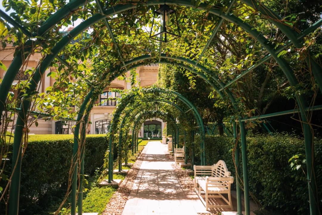 200元住总统套房,200块住酒店吃大餐