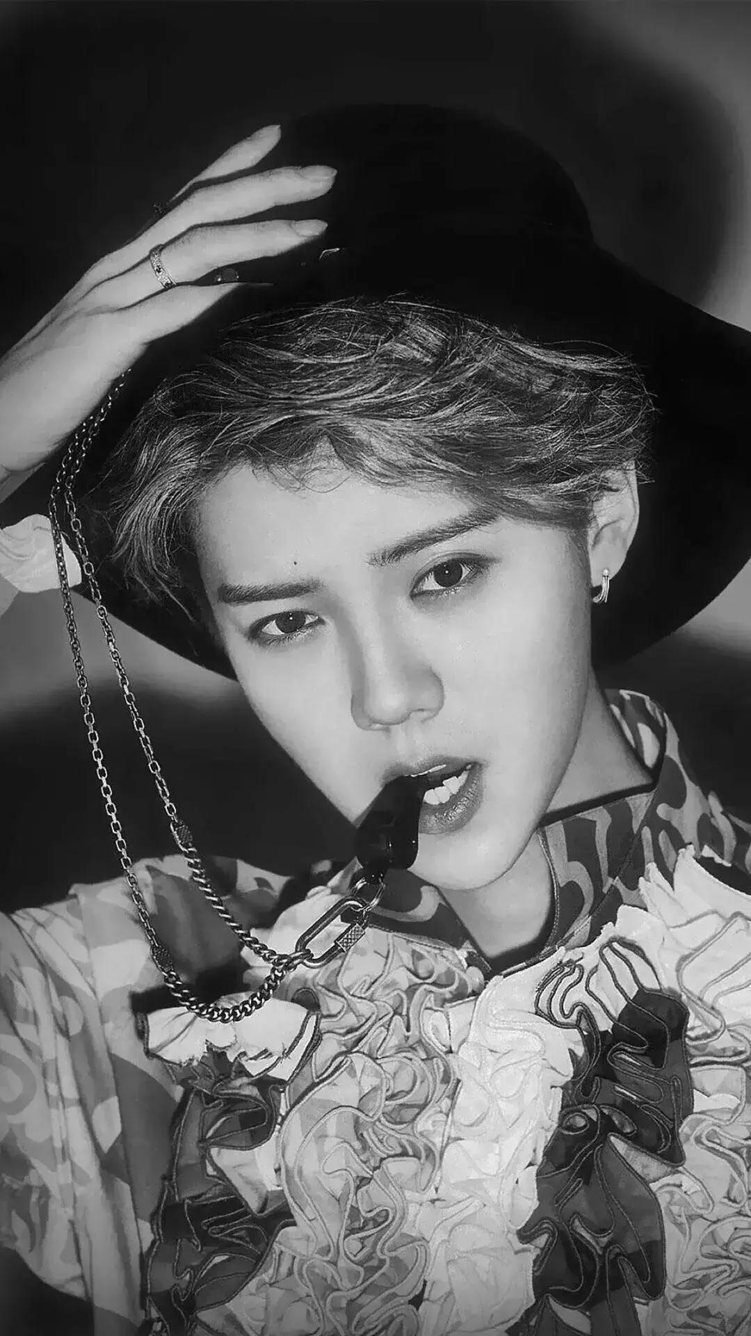 明星小姐姐壁纸iu,鹿晗壁纸手机超清全面屏