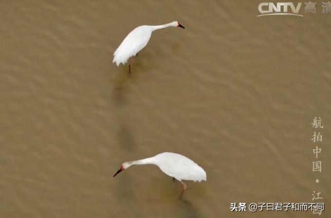 航拍中国江西完整版,航拍中国鄱阳湖