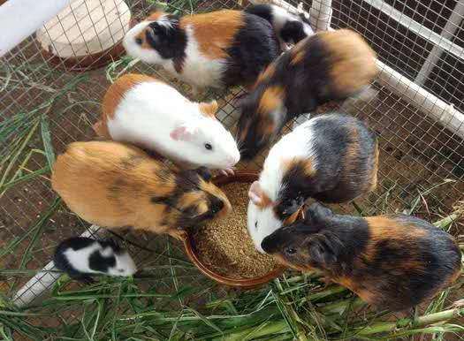 大连六一去哪儿玩,六一大连有免费玩的地方吗