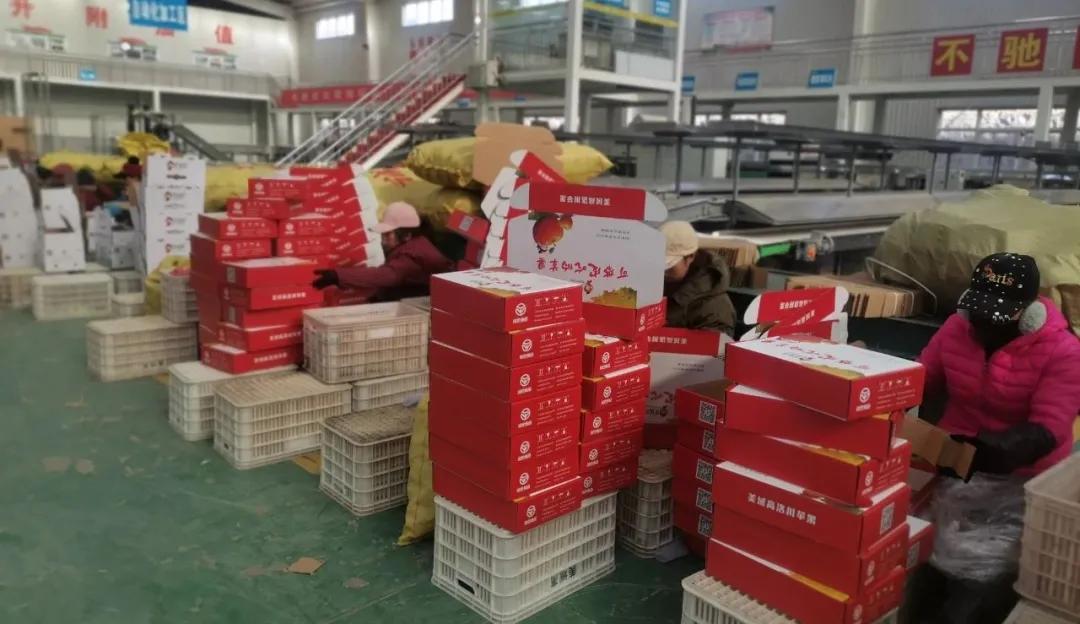 美域高生物科技有限公司,美域高生物科技公司