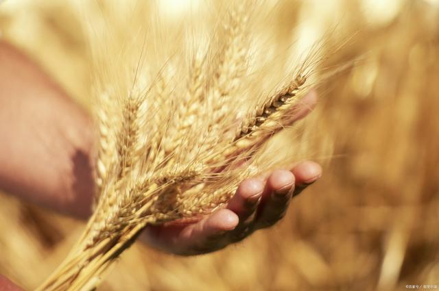 涓婃捣绂捐崳鍐滀笟绉戞妧,涓婃捣绂捐崳鍐滀笟绉戞妧鏈夐檺鍏徃鑲℃潈