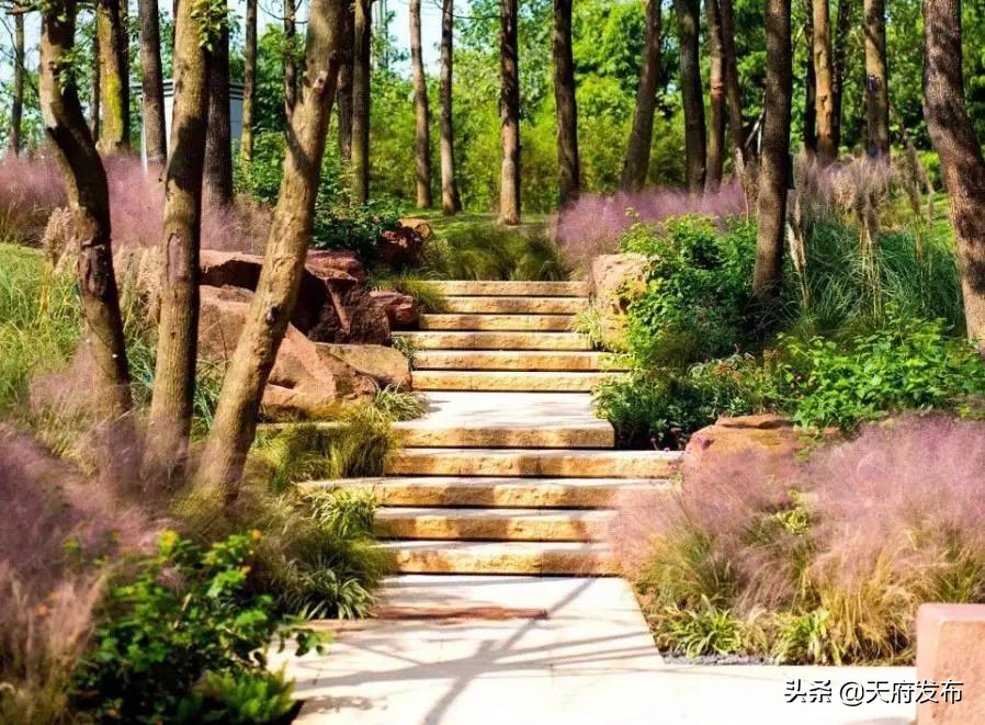 中秋假第2天!天府新区这些地方让你玩个够