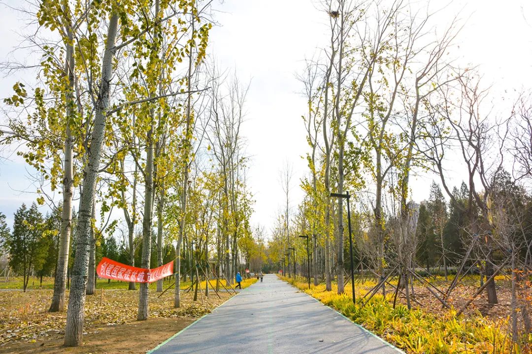 北京新开40个公园在哪里,北京十佳公园