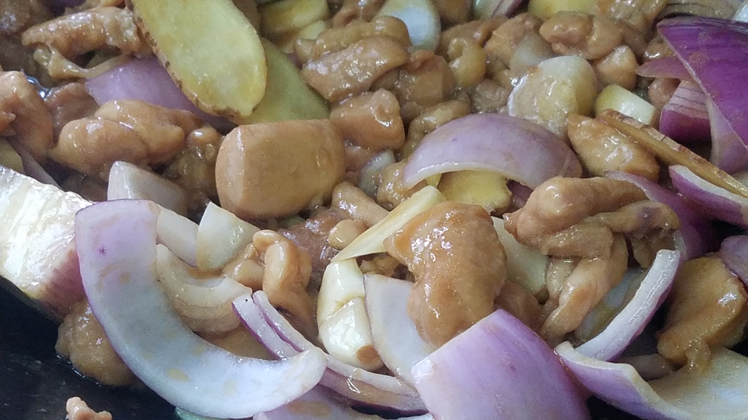 鸡腿青椒洋葱的各种做法大全,洋葱焖鸡腿