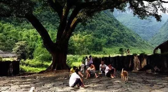 林场，我记忆的沟回