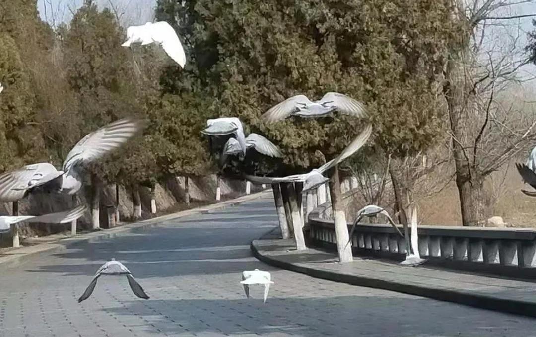 登封少林寺冬日,冬日登封龙山