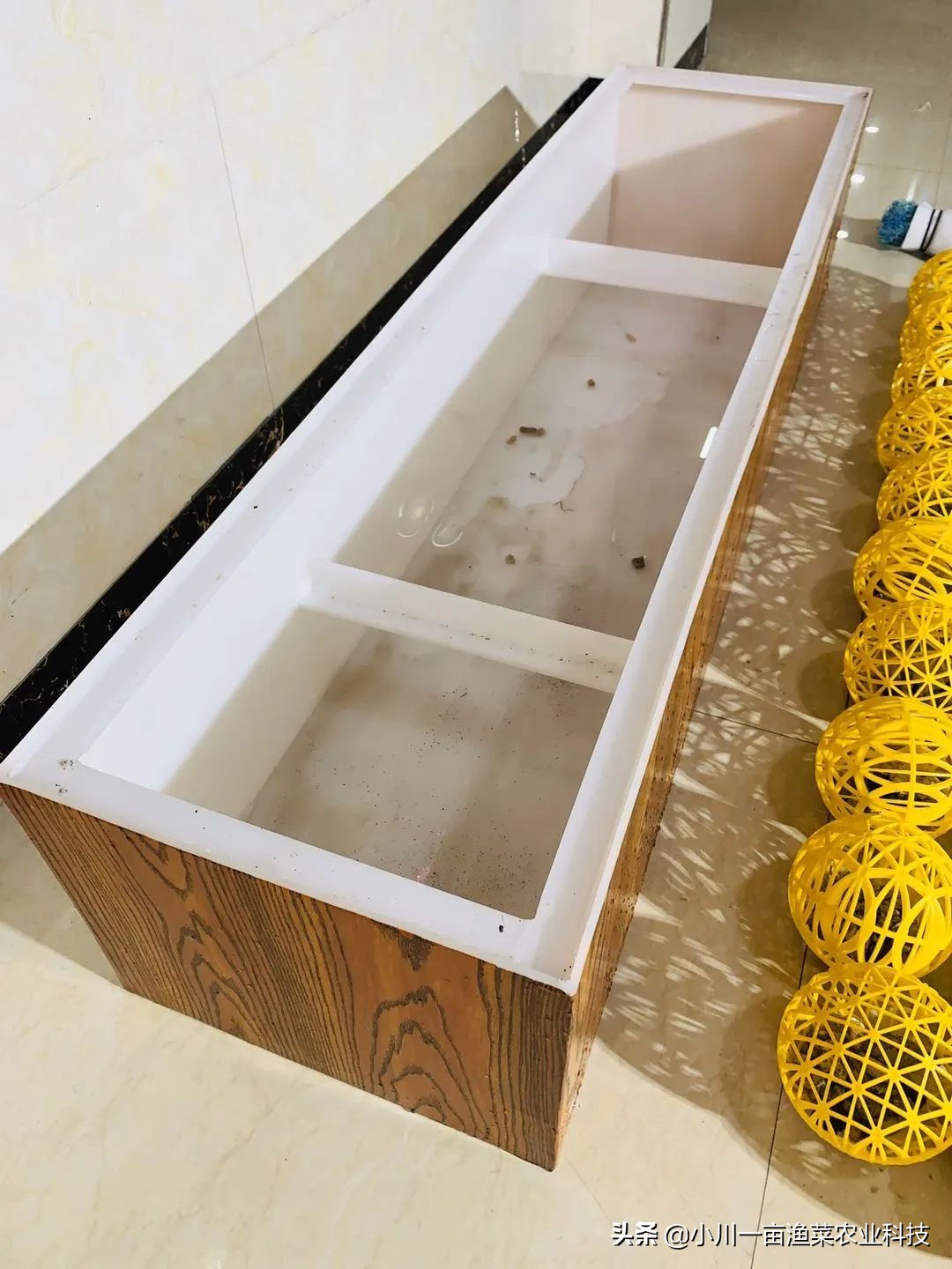 鱼菜共生系统全套设备,鱼菜共生系统管理方案