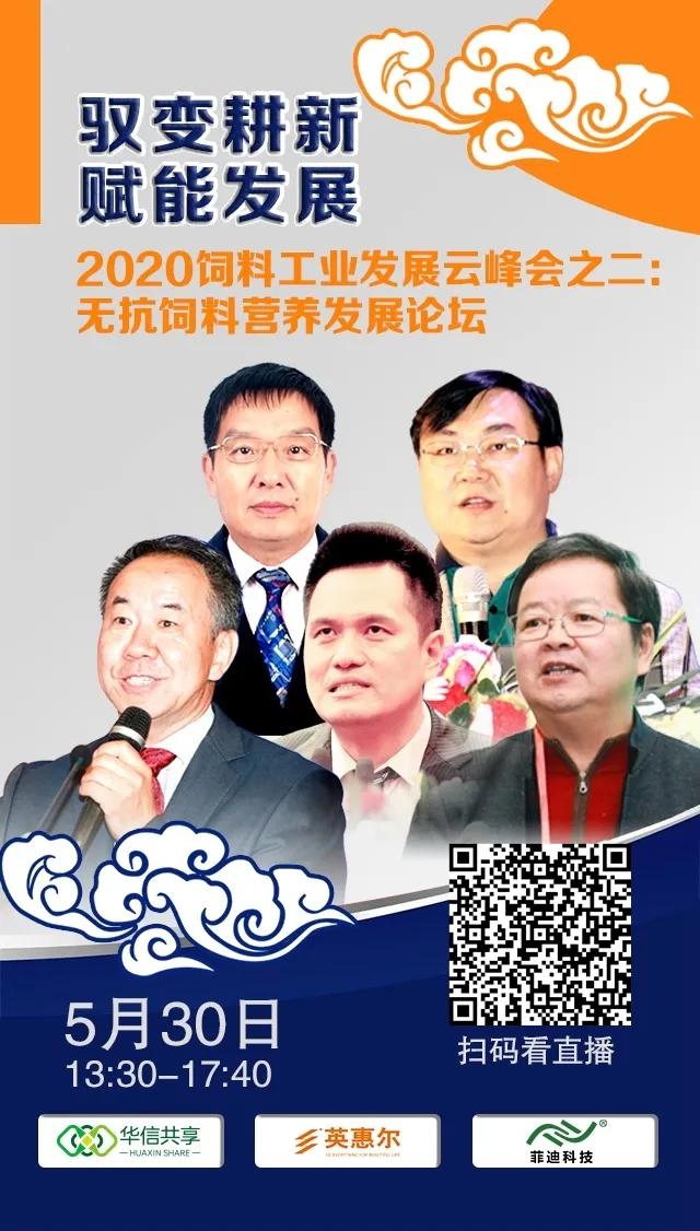 不要把无抗做成替抗！金卫东、白善霖、周桂莲带来无抗新见解