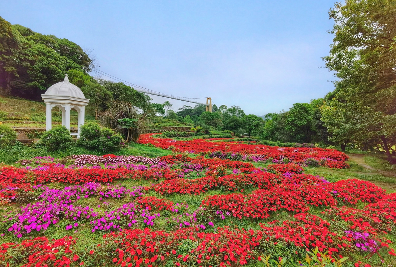 广州簕杜鹃瀑布,广州附近的高山瀑布